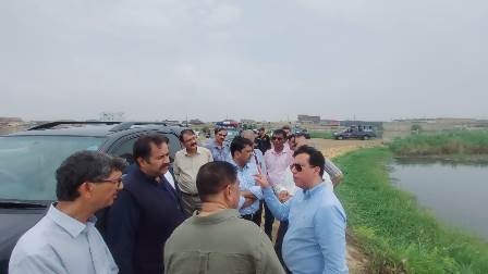 Inspection of the project by detailed visit